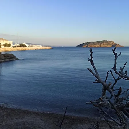La Petite Anse - - Wifi- Host Provence Lejlighed La Ciotat